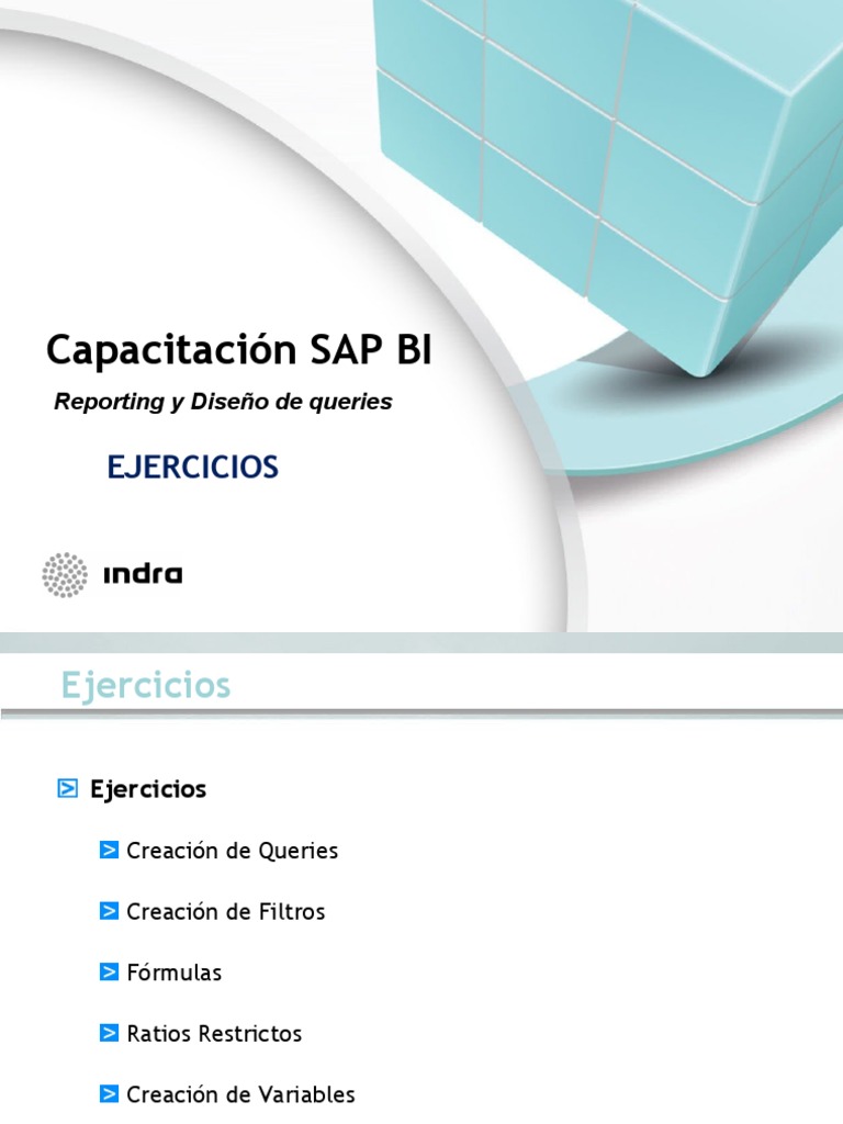 SAP BI - Reporting y Diseño de Queries-Ejercicios | PDF