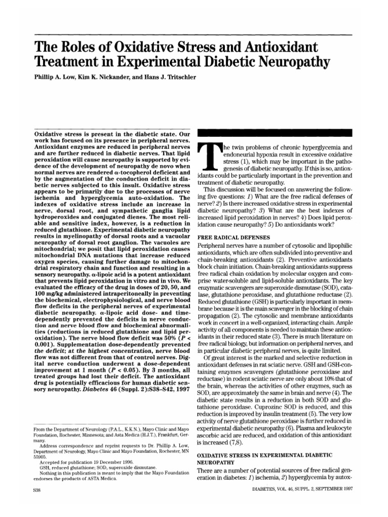 Antioxidants Diabetic Neuropathy PDF Antioxidant Peripheral