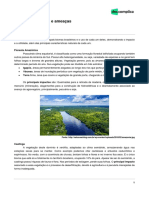 Biomas brasileiros e ameaças tem  e resume de forma concisa e otimizada para  o conteúdo do documento, que trata dos principais biomas brasileiros e das ameaças a eles