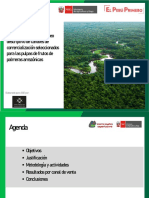 SSE - Pulpas Mercado Local PDF