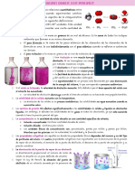 Ideas Principales de DQ PDF