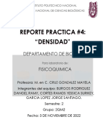 Reporte Densidad PDF