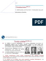 T10.1 - DP1.1 - Introducción A Las Células - 2022-23