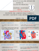 Expo Terminologia de Corazon