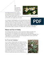 4.0 A Einleitung Frühling PDF