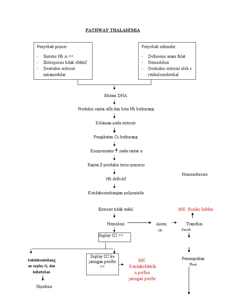 Pathway Thalasemia | PDF