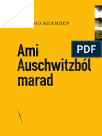 Agamben Auschwitz