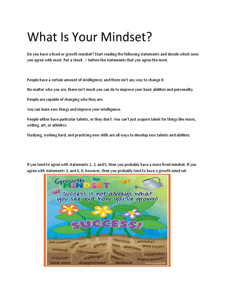 What Is Your Mindset ACTIVITY | PDF