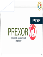 CH 085 - Protocolo de Exposición A Ruido PREXOR