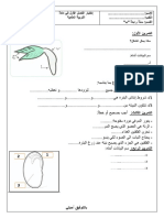 اختبار التربيه العلمية الفصل الثاني PDF