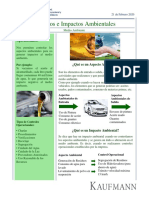 Aspectos e Impactos Ambientales PDF