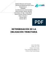 Determinacion Tributaria