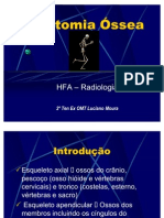 Anatomia Ossea