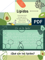 Lipidos PDF