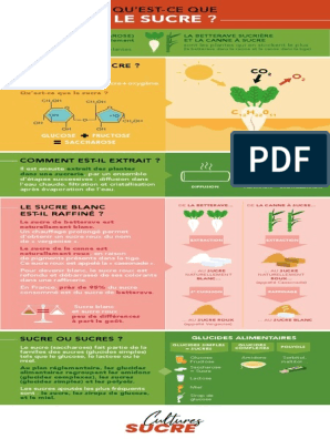 Comment faire du sucre qui pétille, PDF, Sucre