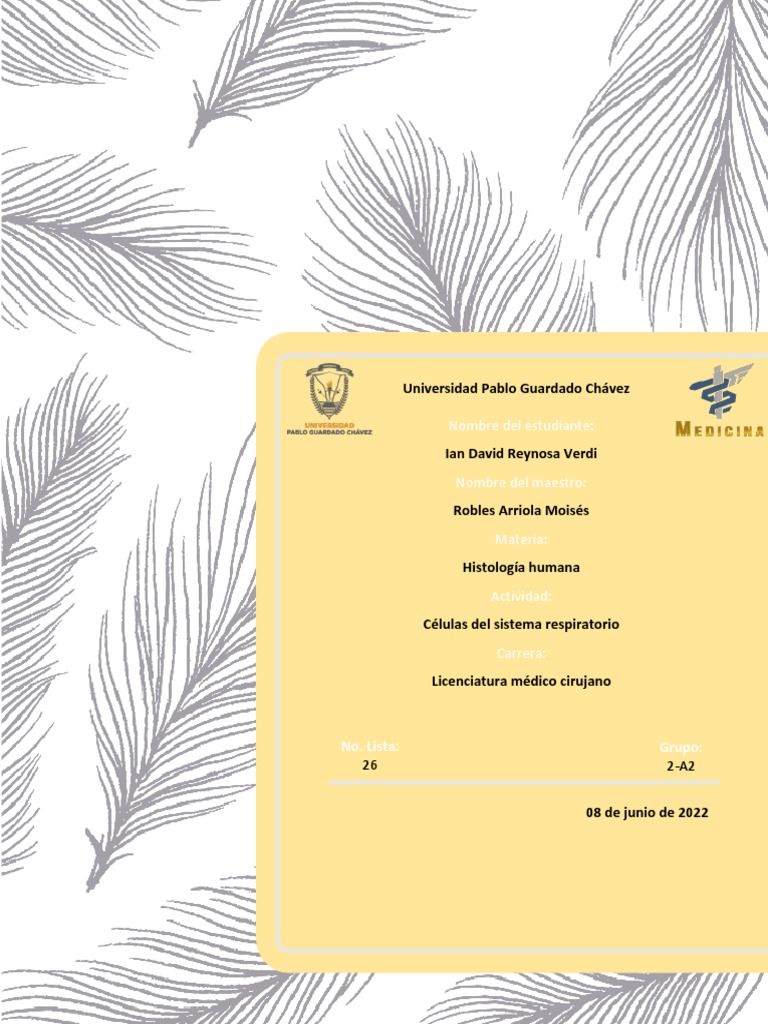 Células Del Sistema Respiratorio Pdf Pdf Epitelio Histología