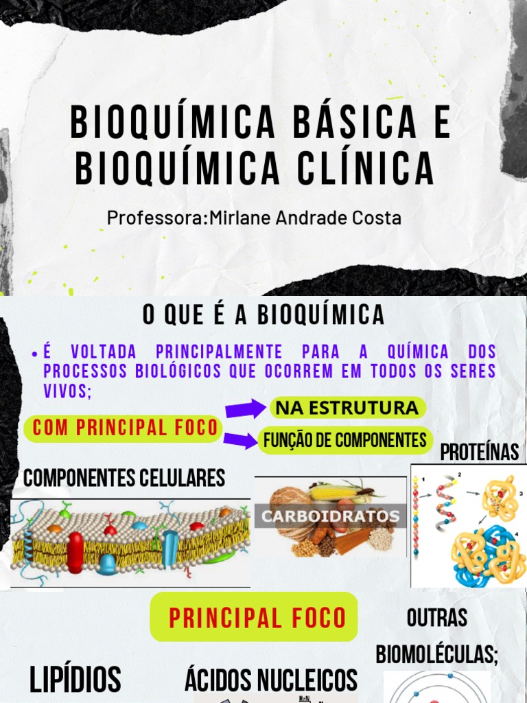 Aula 2 Bioquímica Básica E Bioquímica Clínica Pdf Pdf Colesterol