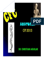 Ureteres CFC PDF