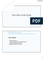 The Citric Acid Cycle 2022 PDF