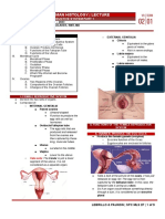 FEMALE REPRODUCTIVE SYSTEM PART 1 - SPC MLS1 - HISTO LEC.docx
