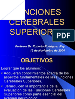 FUNCIONES CEREBRALES n1