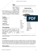 Ankylosauridae PDF