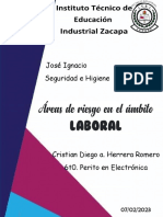 Areas de Riesgo en El Ambito Laboral PDF