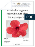 TP3 Eude Des Organes Reproducteurs Chez Les Angiospermes - Copie