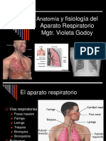 Anatomía y Fisiología Respiratoria 