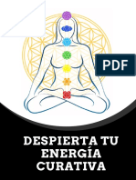 Libro Energia