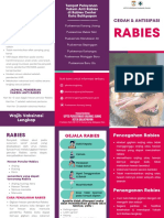 New New Rabies Leaflet
