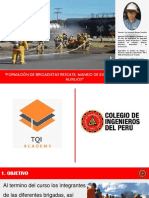 Formación de Brigadistas PDF