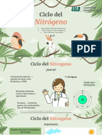 Ciclo Del Nitrógeno