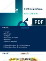 NUTRICION HUMANA. Semana 2.pptxss