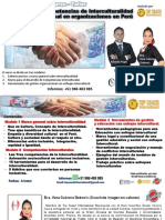 Desarrollo de Competencias de Interculturalidad en Organizaciones Completo