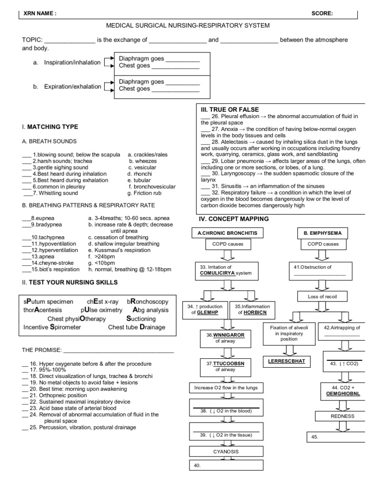 Respi Obj | PDF
