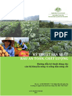 PDF Ky Thuat San Xuat Rau An Toan Nomafsi PDF