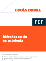 Patología Bucal
