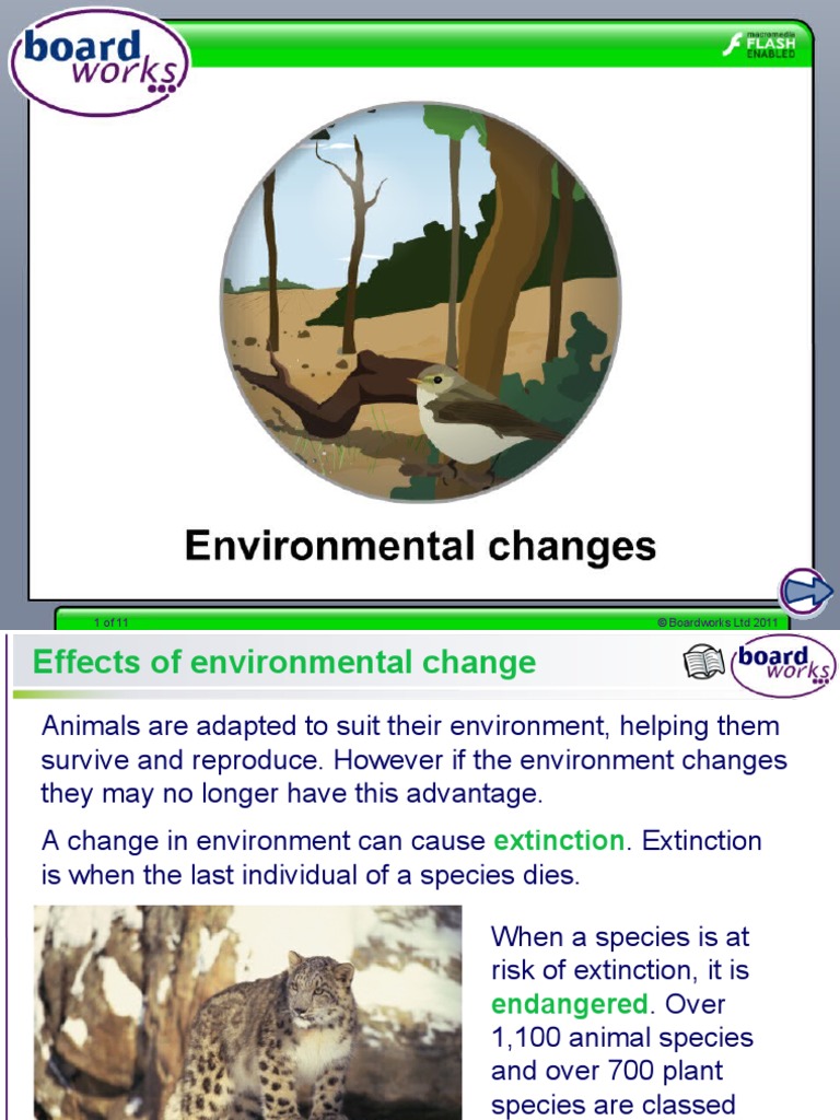 Environmental Changes | PDF | Climate Change | Extinction