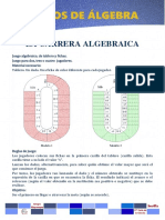 Carrera Algebraica PDF