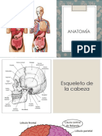 Anatomía (2305843009214913430) PDF