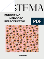 Sistemas endocrino, nervioso y reproductivo: estructura, función, enfermedades y cuidados