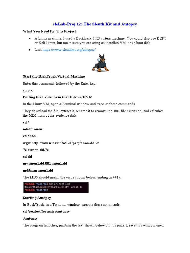 LabProj.12 Sleuthkit PDF Button Computer File