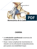 Biomecanica de La Cadera