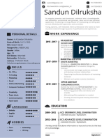 Sandun Dilruksha: Work Experience Personal Details