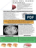 Etiologia Del Daño Cerebral 3