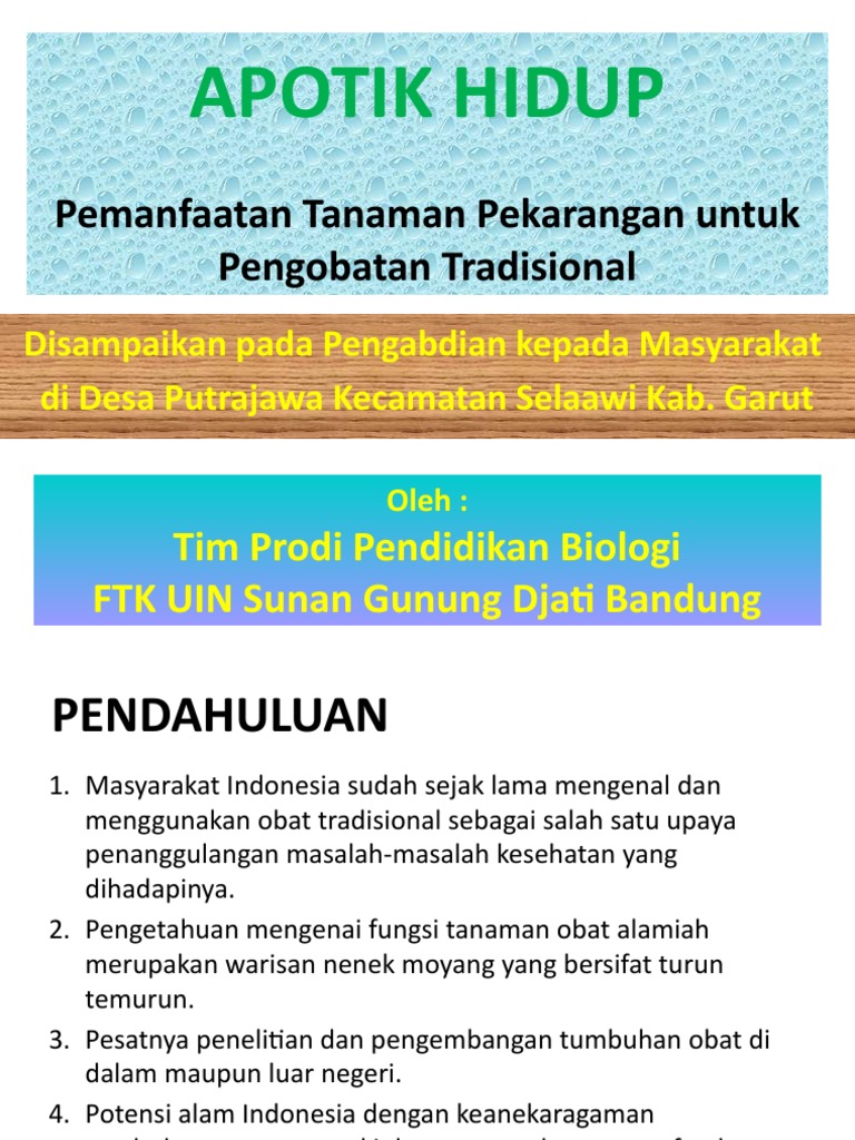 Apotik Hidup Modern: Menyemai Kesehatan dari Halaman Rumah