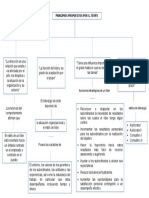 Mapa Conceptual Principios