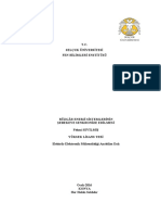 RÜZGÂR ENERJİ SİSTEMLERİNİN Şebekeye Senkronize Edilmesi PDF