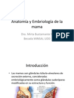 Embriología y Anatomía de La Mama
